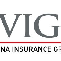VIG Logo International 4C (2)